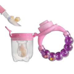 Baby Fruit Feeder with Rattle Handle
