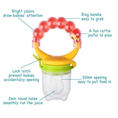 Baby Fruit Feeder with Rattle Handle